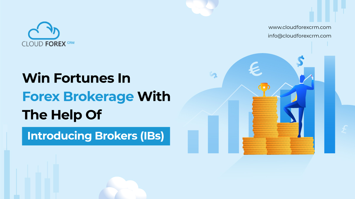 Win Fortunes in Forex Brokerage with the Help of Introducing Brokers (Ibs)